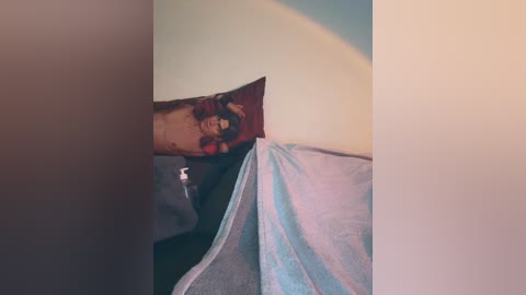 Media: Video of a person's arm hanging over a light blue towel on a beige wall, with a framed photo of a woman with dark hair in the background.