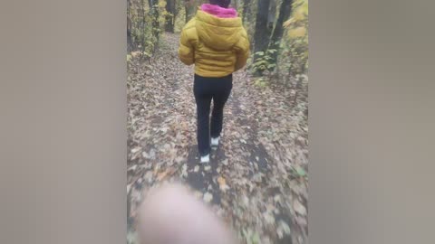 Media: Video of a person wearing a yellow puffer jacket and dark pants walking away on a leaf-covered forest path, surrounded by autumn foliage.