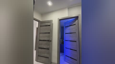 Video of a modern hallway with two gray, wooden-panel doors, one open revealing a dimly lit room. The walls are painted light gray, and the ceiling has recessed lights.