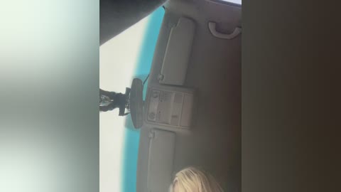 Media: A video captures a side view of a car's interior, featuring a blue exterior and a black steering wheel. The image is slightly blurry, focusing on the driver's hand gripping the wheel. The passenger is partially visible, with blonde hair.