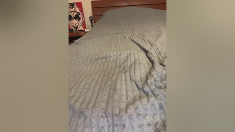 Video of a neatly made bed with a light gray, ribbed knit blanket. A wooden headboard is visible in the background, along with a small, colorful cartoon character poster on the left wall. The room has a cozy, lived-in feel.