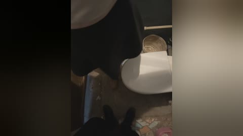 Media: A video captures a close-up view of a black and white dog's head, standing on a beige carpet. The dog's ears are up, and a beige shoe is visible in the background.