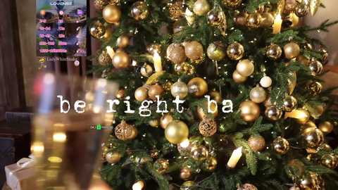 Media: A video of a decorated Christmas tree adorned with gold ornaments, lit by fairy lights, in a warmly-lit living room. Text overlay reads \"be right back.\