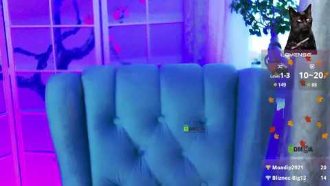 Video of a plush, blue velvet armchair in a dimly lit room with purple lighting. A large cat sits on the armchair. Social media text overlays indicate \"Mood 2021\" and \"BlaineFly3.\