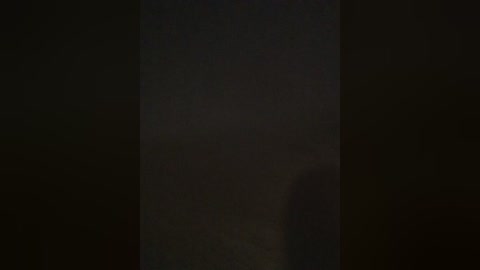 A video of a dark, blurry scene with a vertical, indistinct object in the center, possibly a tree or pole, against a pitch-black background, creating a mysterious and somewhat unsettling atmosphere.