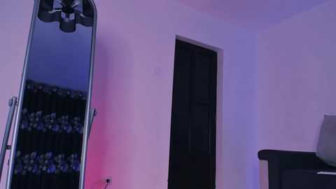Video of a dimly lit room with a large mirror reflecting a movie theater's dark interior, a door, and a small TV screen on a black stand.