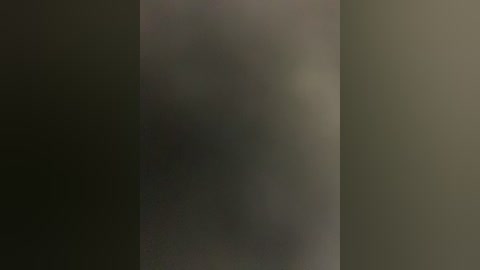 A blurred, dimly lit video of a tall, vertical object with indistinct features, likely a person or structure, standing against a dark, possibly indoor background. The image is hazy and lacks discernible details.