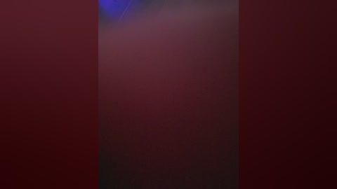 A video with a blurred, abstract background featuring deep red and dark purple hues. The image lacks distinct features, making it difficult to discern any specific objects or details.