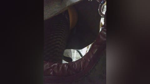 Media: A video of a person's legs and feet in dark leather boots, partially obscured by a green and brown patterned carpet, with a shadowy, indistinct background.
