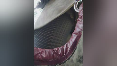 Media: Video of a close-up view of a brown leather saddle with a red leather saddle blanket featuring a quilted pattern. The saddle's intricate stitching and the blanket's glossy texture are visible.