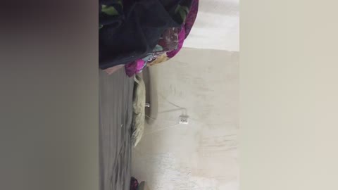 A video shows a close-up of a beige wall with a water stain and a small, round, metal object on it. A dark fabric and a pink cloth are partially visible in the top left corner.