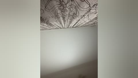 Media: Video of a ceiling with intricate, ornate, grey lace-like patterns, transitioning into a smooth, white surface. The image is centered, with soft lighting creating a serene and elegant ambiance.