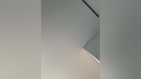 Video of a minimalist, modern interior corner featuring a smooth, light gray wall and ceiling. A thin, vertical black line on the wall accentuates the clean, geometric lines. The image emphasizes simplicity and modern design.