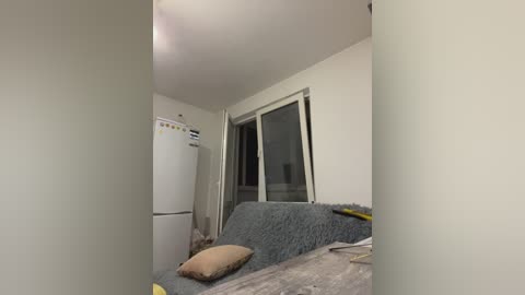 Video of a cluttered, dimly lit, small living room with beige walls and a white refrigerator on the left. A grey couch with a beige pillow is visible, and a window with closed blinds is on the right.