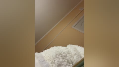 Media: Video of a beige, textured cat bed positioned on a beige carpeted floor in a room with beige walls and a white ceiling light fixture.