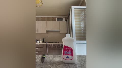 Media: Video of a modern kitchen with beige walls, light wooden cabinets, and a microwave. A white bottle of detergent sits on a granite countertop.