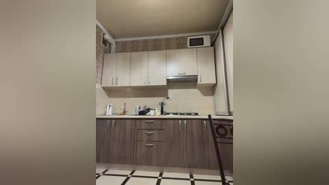 Media: A video of a small, modern kitchen with light wooden cabinets, stainless steel appliances, a black and white tiled floor, and a narrow window.