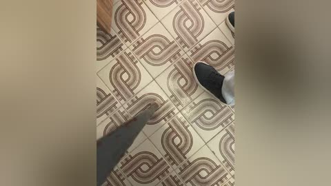 Media: A video showing a close-up view of a tiled floor with geometric brown and white patterns. A person wearing black shoes stands near the center, and a metal scraper is seen moving from the bottom left towards the center, scraping away the tile pattern.