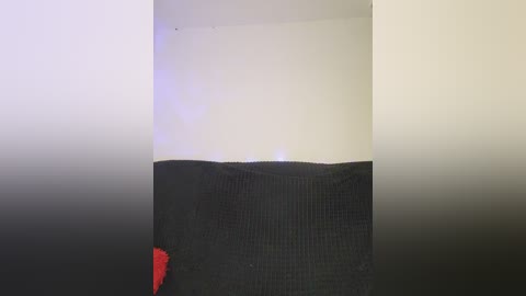 Media: A video shows a white wall with a black, textured cushion resting against it. The cushion has a red tag on the side. The image has a minimalist, modern aesthetic.