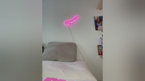 A video of a minimalist bedroom with a white bed, a gray pillow, and a neon pink penis-shaped light mounted on the wall. A small bookshelf with various items and a framed picture is visible.