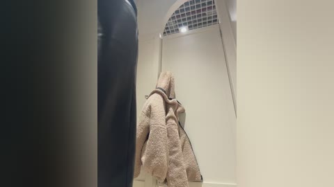 Media: Video of a beige robe hanging on a hook in a modern, white-walled bathroom with a circular window and a frosted glass panel above the robe.