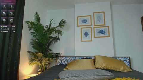 A video of a modern bedroom with a gray bed, blue and white patterned pillows, a tall potted plant, and framed blue fish art on a white wall.