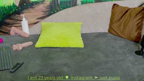 Media: Video of a messy, dimly-lit room with a green cushion, a laptop, a dildo, and a brown pillow on a gray carpet.