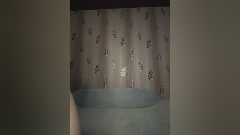 Media: A dimly lit video of a cozy room with a light blue upholstered chair, beige floral curtains, and a dark wooden frame.