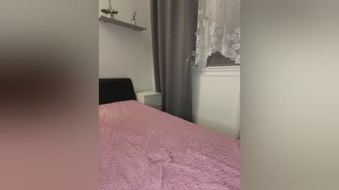 A video of a modest, tidy bedroom featuring a pink quilted bedspread, a white lace curtain, a gray curtain, and a small green plant on a shelf.