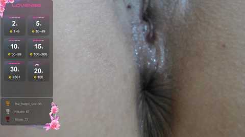 Media: Video of a close-up view of a human vulva, featuring light skin tones and visible labia, surrounded by a background of pink cherry blossoms. The image includes a digital temperature display on the left side.