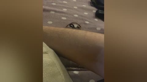 Video of a person lying on a purple polka-dotted blanket, with a small, brown and white snake peering out from under the blanket.