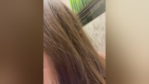 Video of a person with long, straight brown hair, slightly parted. Background shows a green wall and a beige tiled floor.