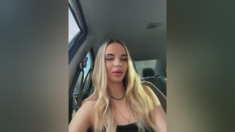 Media: Video of a young woman with long, straight blonde hair, fair skin, and pink lipstick, wearing a black top, sitting in a car with the window down, showcasing a modern interior.