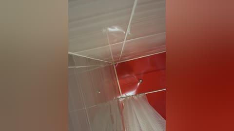 Media: A video of a red and white ceiling with a mesh netting and a small, spherical object hanging from it, creating a geometric pattern.