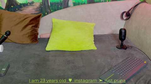 Media: Video of a cozy bedroom setup: a yellow pillow on a gray bed, a black microphone and a keyboard on the nightstand, a brown pillow, and a colorful wall mural.