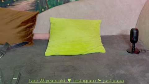 Media: A video shows a bright yellow pillow on a gray carpeted floor. In the background, a beige pillow and a black speaker are visible. Text at the bottom reads: \"m25 years old / insta just, puppa.\