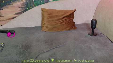 Media: A video shows a brown pillow on a gray carpet, with a black microphone and a pink corded object in the foreground. The background features a mural of abstract shapes in green and beige tones.