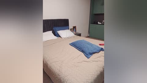 Video of a modern bedroom with a beige quilted bedspread, dark headboard, blue pillows, a blue cushion, and a green cabinet.
