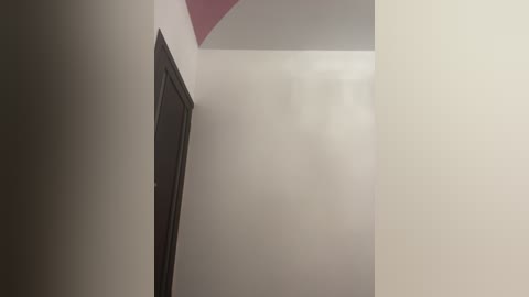 Video of a narrow, dimly-lit hallway with beige walls, a dark wooden door on the left, and a small, partially visible window near the ceiling. The ceiling appears low and slanted.