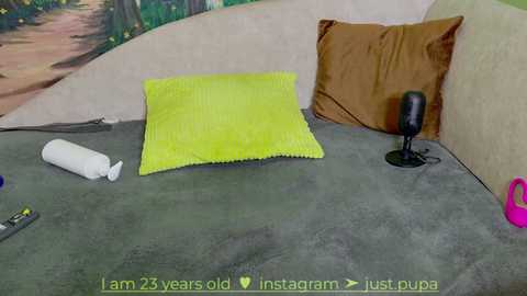 Media: Video of a small, cozy indoor space featuring a bright yellow pillow on a grey carpeted floor, a white roll, and a black microphone stand, with a scenic mural in the background.