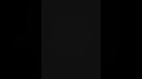 Video of a single, dark, vertical line against a black background, appearing as a shadow or a small, faint object, possibly a bug, with no discernible texture or detail.