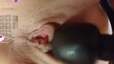 Media: Video of a close-up view of a woman's vulva, with a green vibrator inserted, showing labia and vaginal opening. Background includes a digital display with temperature and vibration settings.