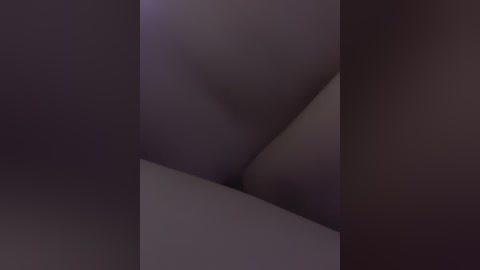 Video of a close-up of a person's naked crotch area, with skin tones ranging from light to medium brown, featuring folds and textures of the pubic region. The image has a dim, intimate lighting with a blurry background.