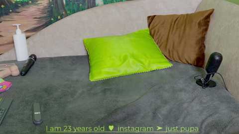 Media: Video of a cozy, modern bedroom with a green pillow, brown cushion, gray blanket, and black speaker. Background features a wall with a green forest painting.