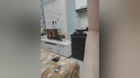 Media: A blurry video shows a small, cluttered living room with a white TV stand, a potted plant, and a black TV. The background includes a stove and a white wall with peeling paint.