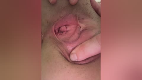 Media: A close-up video of a light-skinned woman's vulva, showing detailed textures and folds of the labia majora and minora. The image has a soft, pinkish hue, and the background is blurred.