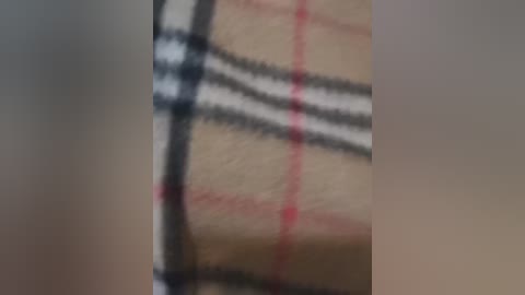A close-up video of a plaid-patterned fabric, with red, black, and white intersecting lines. The image is slightly blurred, making the details indistinct.