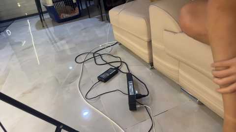 Media: Video of a modern living room with a beige leather sofa, a TV remote on the floor, and a woman's hand on the sofa, revealing a bare shoulder.