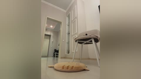 A video of a minimalist hallway with beige walls, a white door, and a beige chair with a cushioned seat. The floor is glossy, reflecting light. A plush, beige pillow with a cat design lies on the floor.