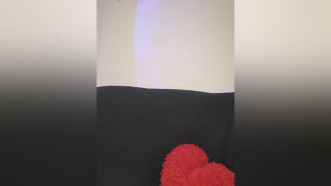 Media: Video of a plush toy with a red heart-shaped head lying on a black background, with a white vertical line dividing the image.